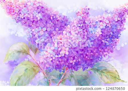 Buddleia *Summer flower background material 124870650