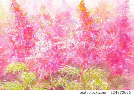 Astilbe *Summer flower background material 124870656