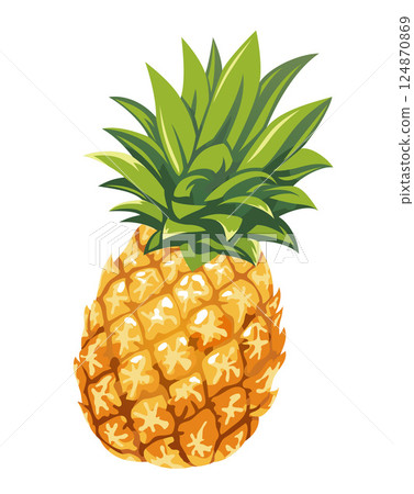 Vector illustration of pineapple 124870869