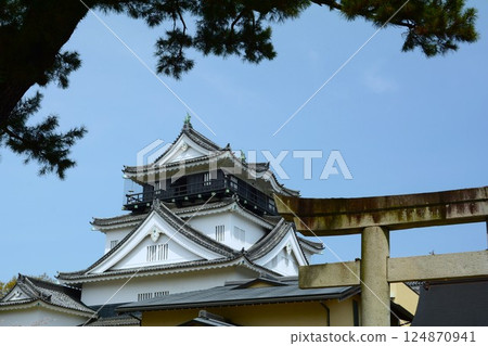 Okazaki Castle seen from below 124870941