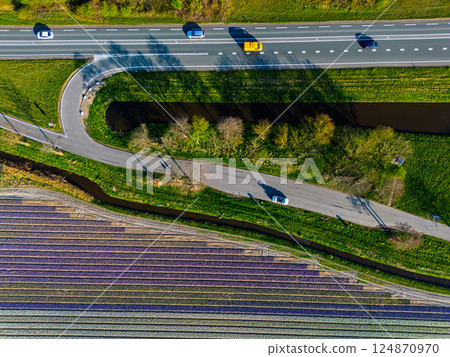 A top-down aerial view of a colorful flower field with neatly arranged rows, a curved rural road, a canal, and a highway with moving cars casting long morning shadows. Peaceful spring scene. A top-down aerial view of a colorful flower field with neatly arranged rows, a curved rural road, a canal, and a highway with moving cars casting long morning shadows. Peaceful spring scene. 124870970