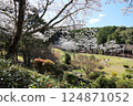 [Cherry blossoms in full bloom at Katsuragi Mountain Park / Katsuragi City, Nara Prefecture] 124871052