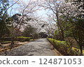 [Cherry blossoms in full bloom at Katsuragi Mountain Park / Katsuragi City, Nara Prefecture] 124871053