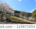 [Cherry blossoms in full bloom at Katsuragi Mountain Park / Katsuragi City, Nara Prefecture] 124871054