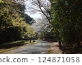 [Cherry blossoms in full bloom at Katsuragi Mountain Park / Katsuragi City, Nara Prefecture] 124871058