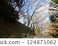 [Cherry blossoms in full bloom at Katsuragi Mountain Park / Katsuragi City, Nara Prefecture] 124871062