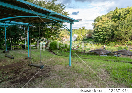 Scenery with a swing in the park 124871084