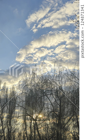 Blue sky with clouds, winter weather. Clouds on the background of trees. Blue sky with clouds, winter weather. Clouds on the background of trees. 124871341