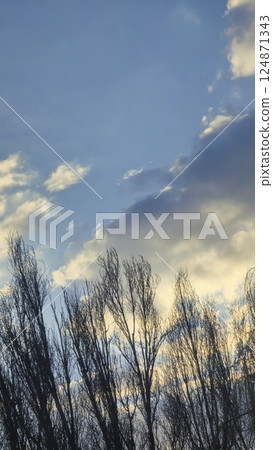Blue sky with clouds, winter weather. Clouds on the background of trees. Blue sky with clouds, winter weather. Clouds on the background of trees. 124871343