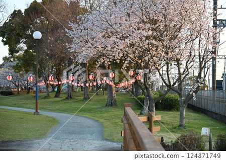 櫻花節：櫻花與燈籠 124871749