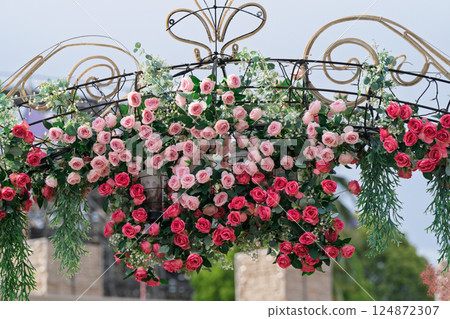 Photograph the beautiful roses at their peak bloom at Hirakata Park, which is open to the public. Photograph the beautiful roses at their peak bloom at Hirakata Park, which is open to the public. 124872307