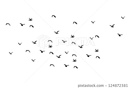 Birds flying vector illustration 124872381