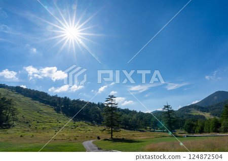 Refreshing highland scenery in summer 124872504