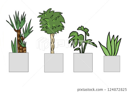 4種室內植物 4種室內植物 124872825