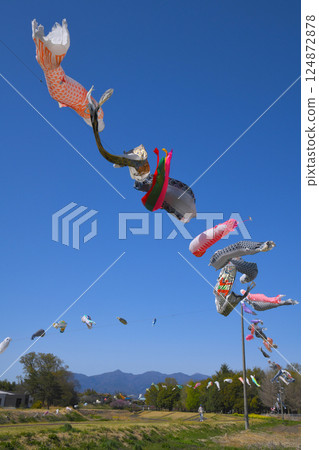 鯉魚旗與赤城山 124872878