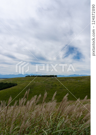 A view from Venus Line of Japanese silver grass swaying in the wind (side view) A view from Venus Line of Japanese silver grass swaying in the wind (side view) 124872890
