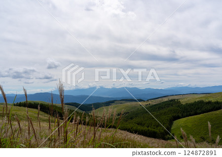 Landscape of Japanese silver grass and the Venus Line in autumn (horizontal) 124872891