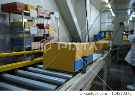 Conveyor belt system transporting cardboard boxes in modern food manufacturing plant 124873372