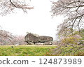 Cherry blossoms and Ishibutai 124873989