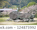 Cherry blossoms and Ishibutai 124873992