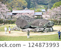 Cherry blossoms and Ishibutai 124873993