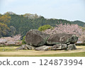 Cherry blossoms and Ishibutai 124873994