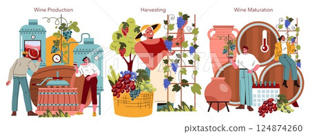 Wine production process set illustrating grape harvesting, winemaking, and maturation with diverse characters engaging in each stage. 124874260