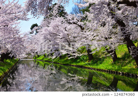 Sakurakei Hirosaki Castle 124874360