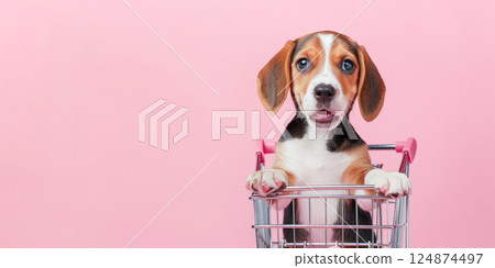 Cute little beagle in a shopping cart on a pastel pink background. Shopping, sale, advertisement, online shopping concept banner with copy space. 124874497