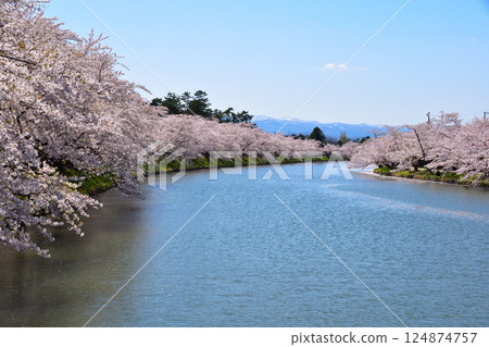 Sakurakei Hirosaki Castle West Moat 124874757