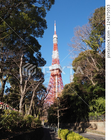 東京鐵塔 124875053