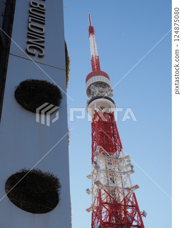 東京塔和建築物 124875080