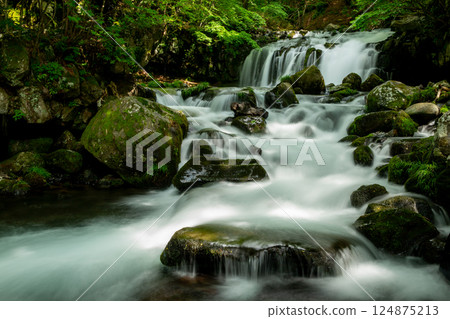 7 Waterfalls and streams flowing amongst fresh greenery 124875213