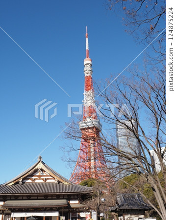 Zojoji和東京塔 Zojoji和東京塔 124875224