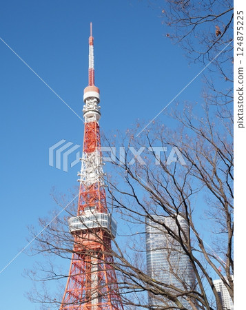 東京塔和建築物 124875225