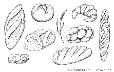 Vector set Bread and bakery. Graphic ink loaf food, ear of wheat, whole grain, slice of bread, ciabatta, brown homemade, baguette. Bun illustration isolated on background. Hand drawn line sketch. For 124875263