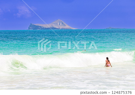 Hawaiian Holidays: View of Rabbit Island from Bellows Beach on Oahu Hawaiian Holidays: View of Rabbit Island from Bellows Beach on Oahu 124875376