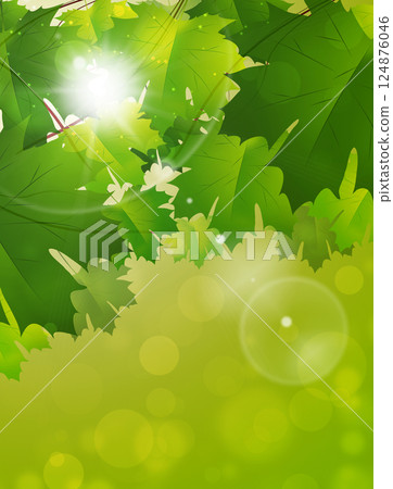 Fresh Spring Blooming Leaves 124876046