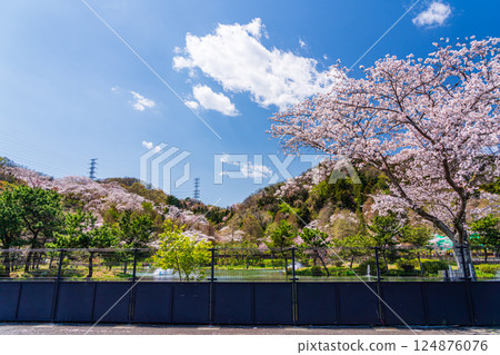 春釣公園 東京Summerland 春釣公園 東京Summerland 124876076
