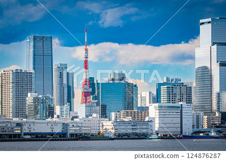 Tokyo: Odaiba on a clear day 124876287