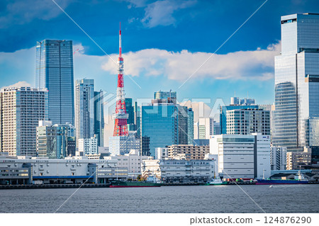 Tokyo: Odaiba on a clear day 124876290