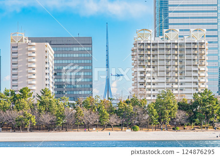 Tokyo: Odaiba on a clear day 124876295