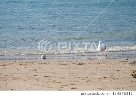 Tokyo: Odaiba on a clear day Tokyo: Odaiba on a clear day 124876311