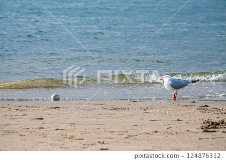 Tokyo: Odaiba on a clear day Tokyo: Odaiba on a clear day 124876312