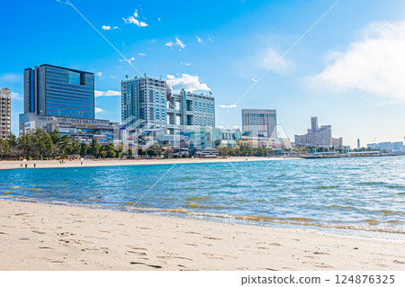 Tokyo: Odaiba on a clear day 124876325