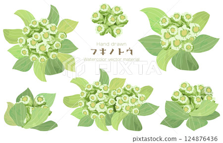 一組用水彩粗略繪製的蜂斗菜插圖材料 一組用水彩粗略繪製的蜂斗菜插圖材料 124876436