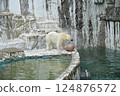北極熊東山動植物園 北極熊東山動植物園 124876572