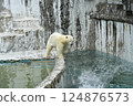 北極熊東山動植物園 北極熊東山動植物園 124876573