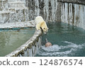 北極熊東山動植物園 北極熊東山動植物園 124876574