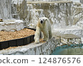北極熊東山動植物園 北極熊東山動植物園 124876576